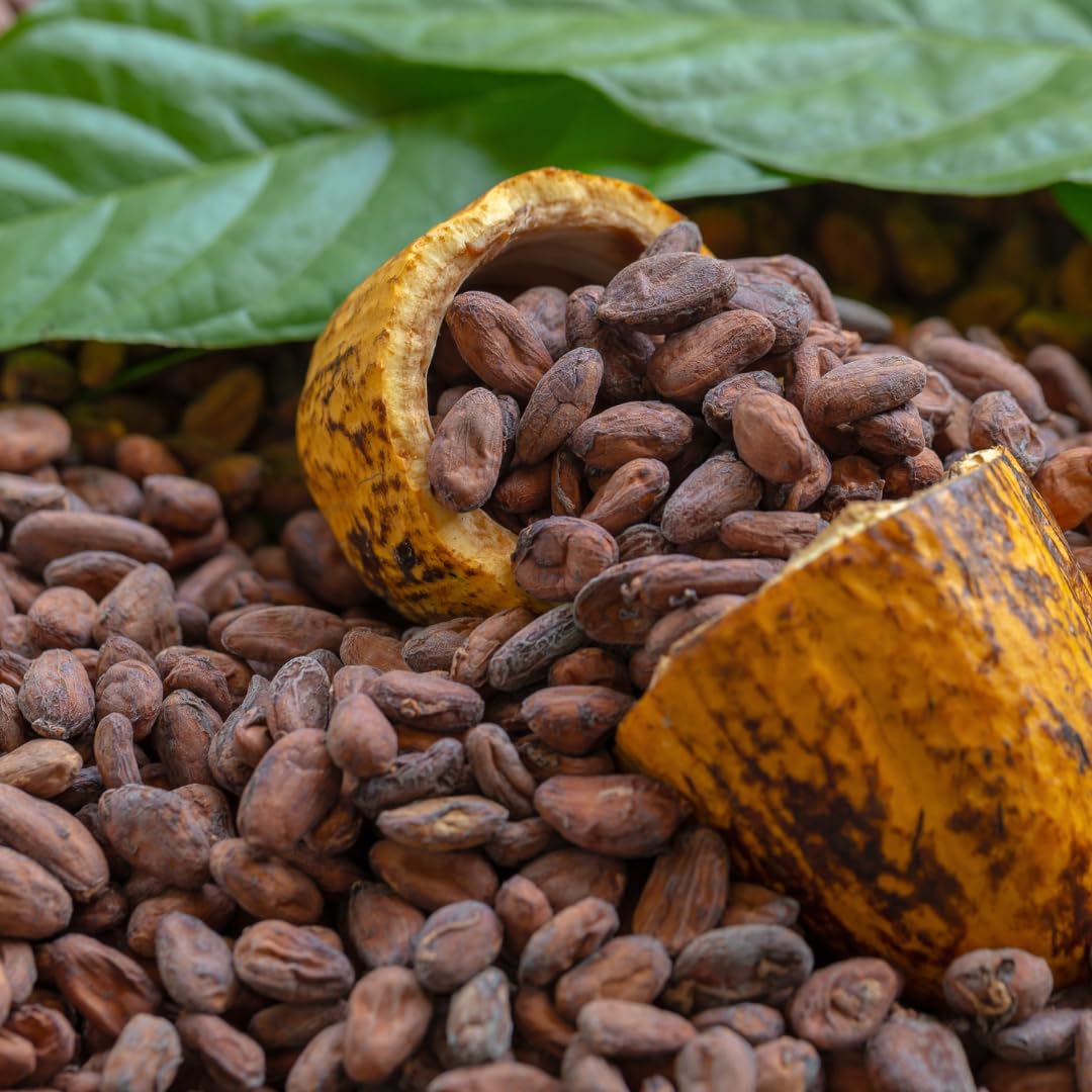 Premium Organic Cocoa Beans